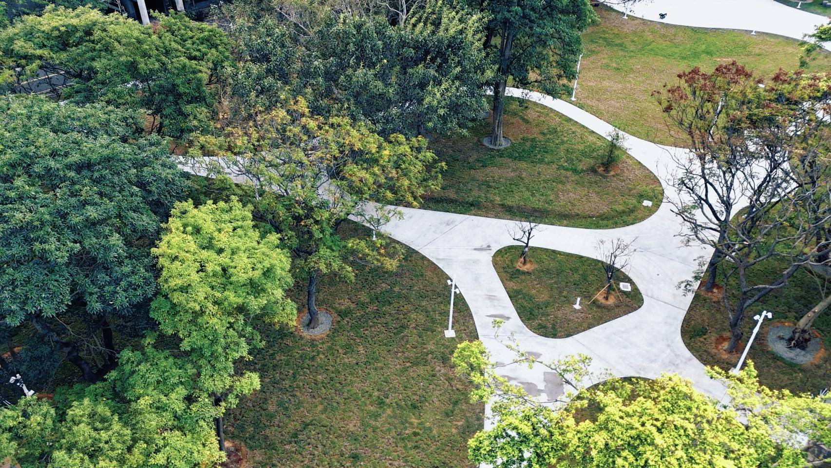 982056 - 報新聞 Mega News 982056