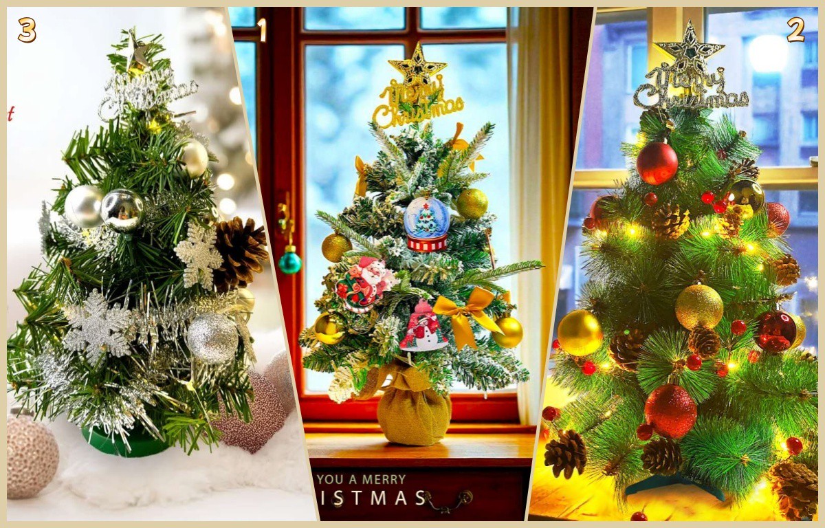 31b50362 7165 4769 92af b39b48377695 176431578920266663909302618