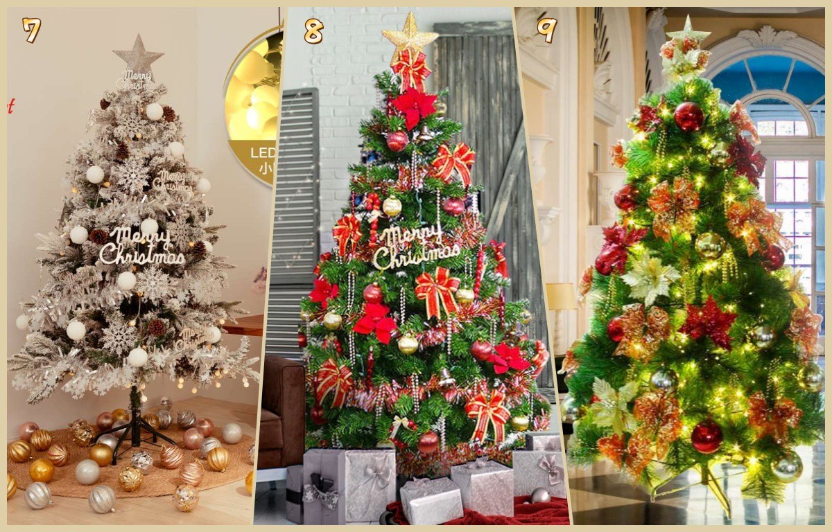 31b50362 7165 4769 92af b39b48377695 176431587269095817705009448