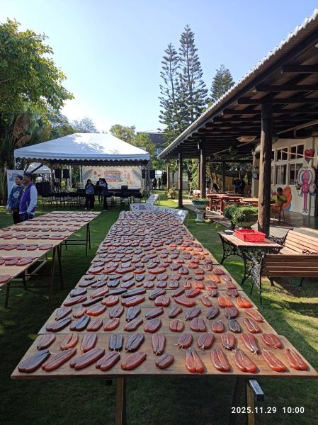 20251129140713 82b0929d