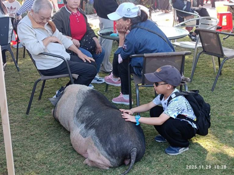 20251129140752 dc36b519