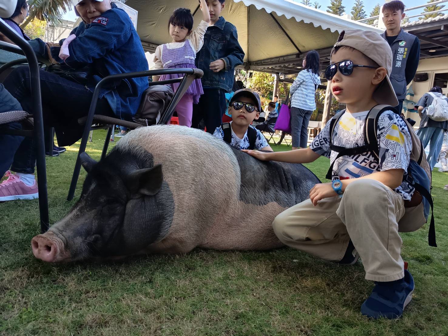 68191_0 - 報新聞 Mega News 68191 0