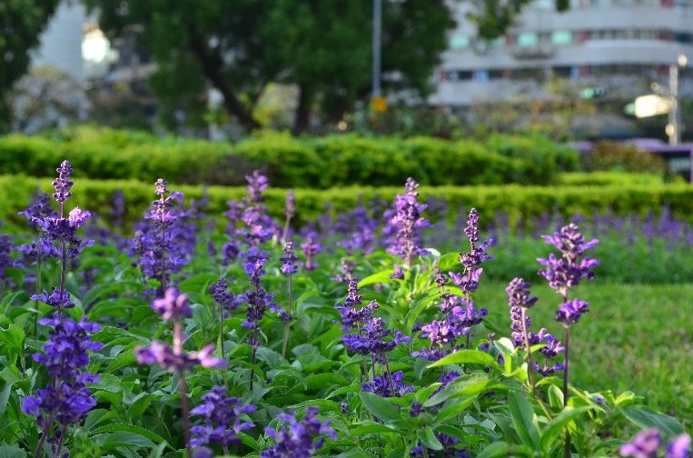 476db5bf ac8b 452e a865 2f7d286b4cd2