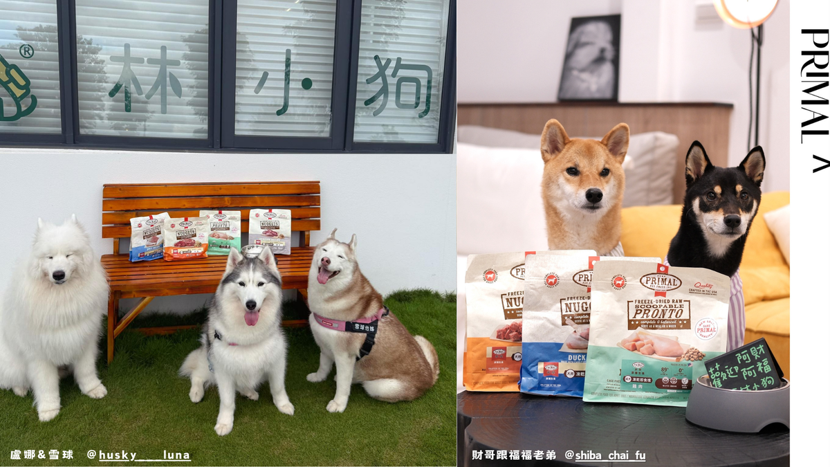 1af32b09 865b 4580 8be3 79b5aeae6c48