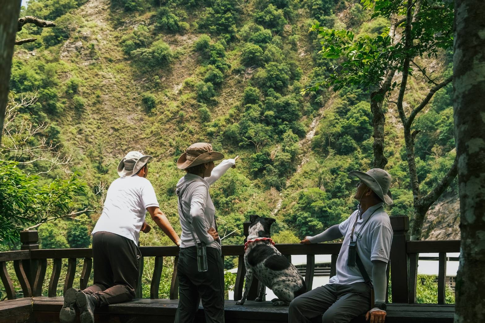 太魯閣晶英圖4 - 報新聞 Mega News %E5%A4%AA%E9%AD%AF%E9%96%A3%E6%99%B6%E8%8B%B1%E5%9C%964