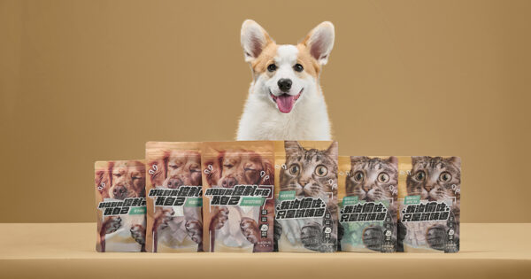 20251203123616 84 600x315 1