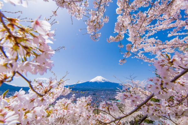 20251203194424 57 600x400 1