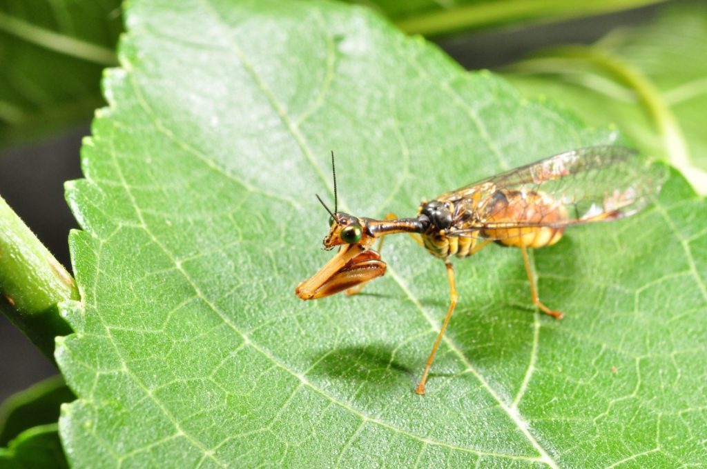 image004 2 1024x680 1