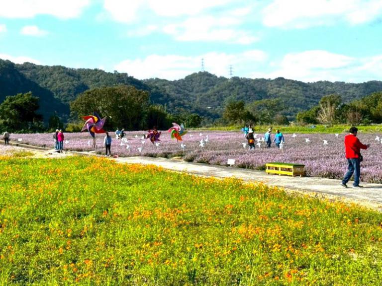 20251206150216 c0d4aa79