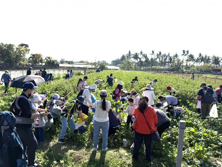 20251208193426 db5ca090