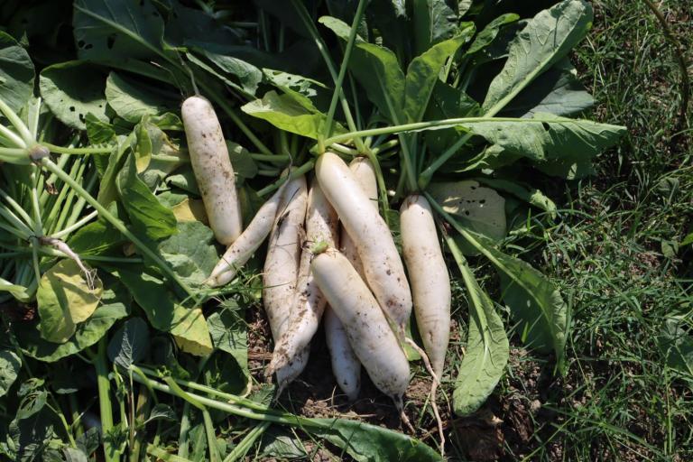 20251208194000 2b248923