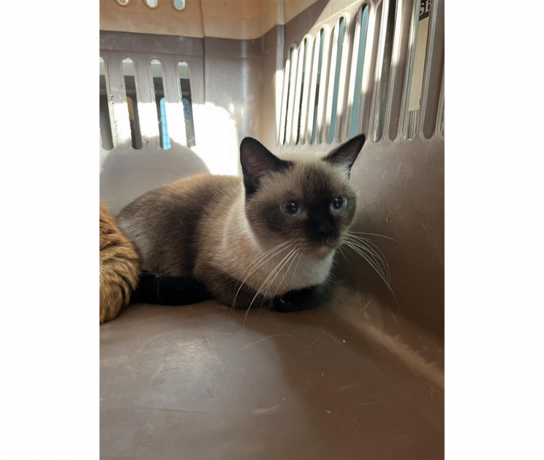 20251210003738 d8014dbb