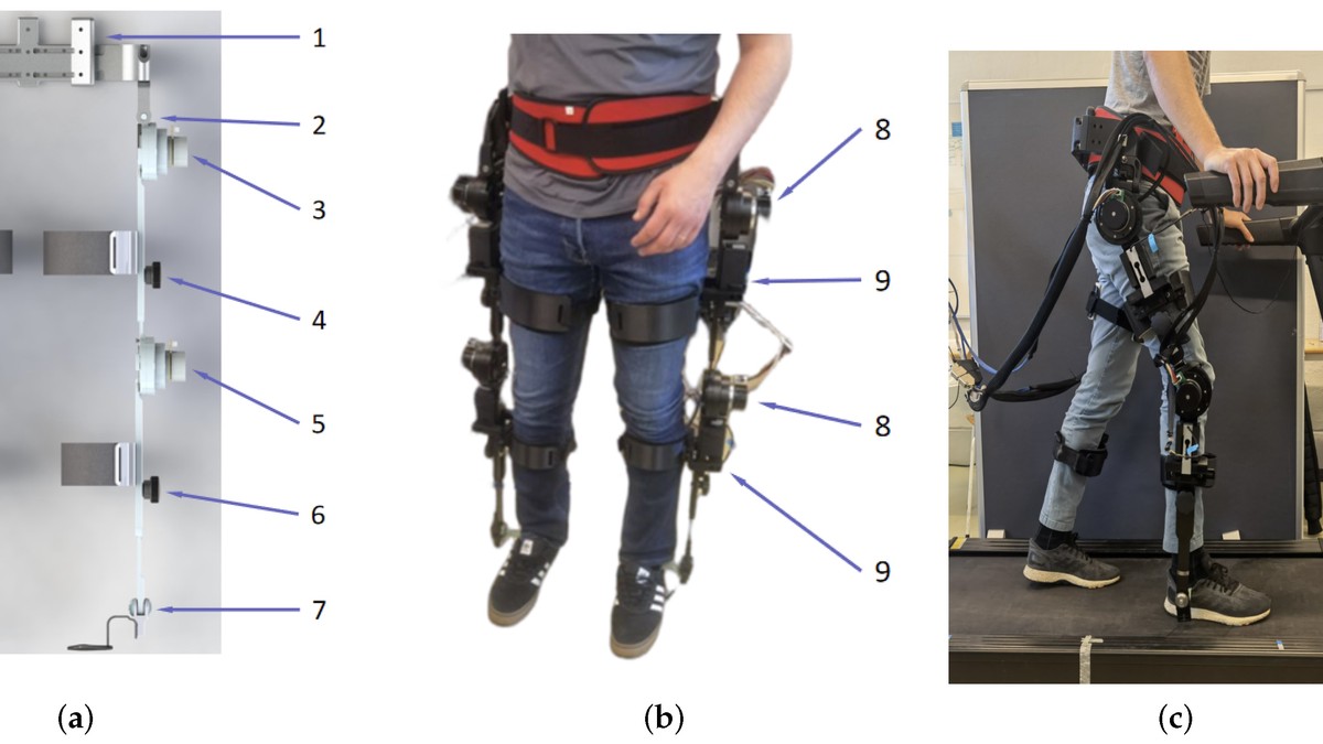 85bdb95e ad34 4ff1 9410 af44a75c0f9a 176535594230316547500845584