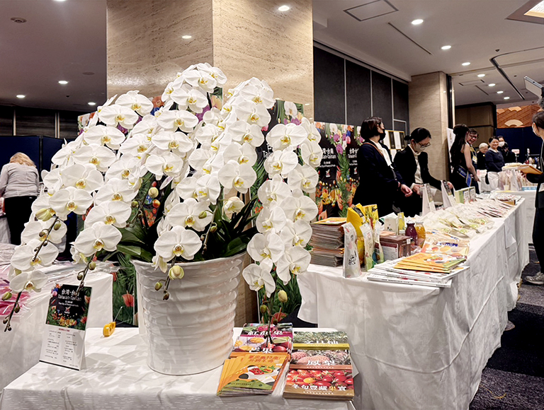 20251210180946 207a4f4f