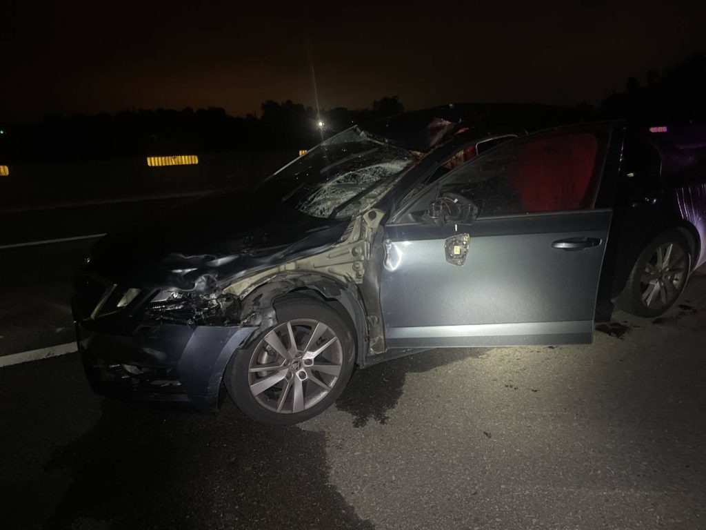 S__476037215_0 - 報新聞 Mega News S 476037215 0 1024x768 1