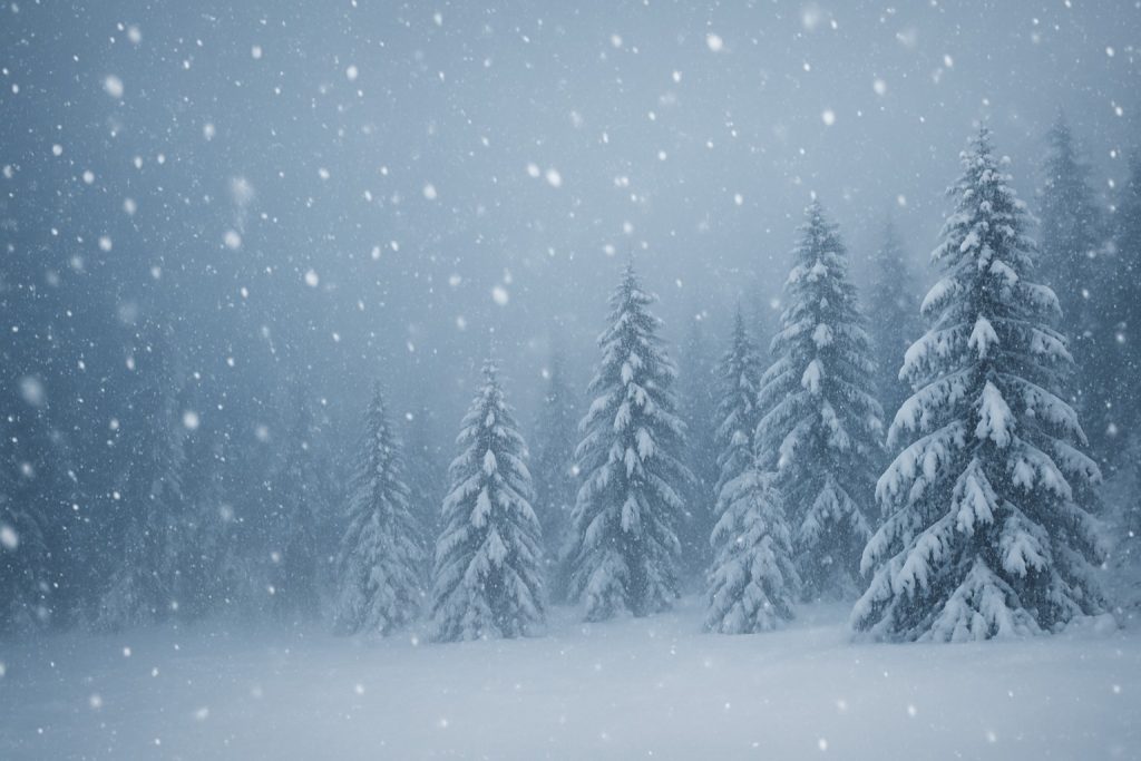 1765772474402 1024x683 1