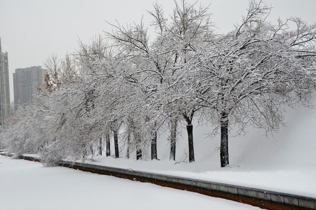 1765772472874 1024x679 1