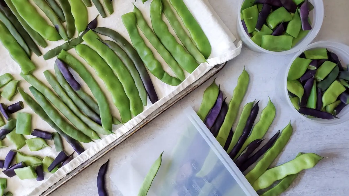 8a3fb9c3 5b2d 4e21 9822 fbda178f36c4