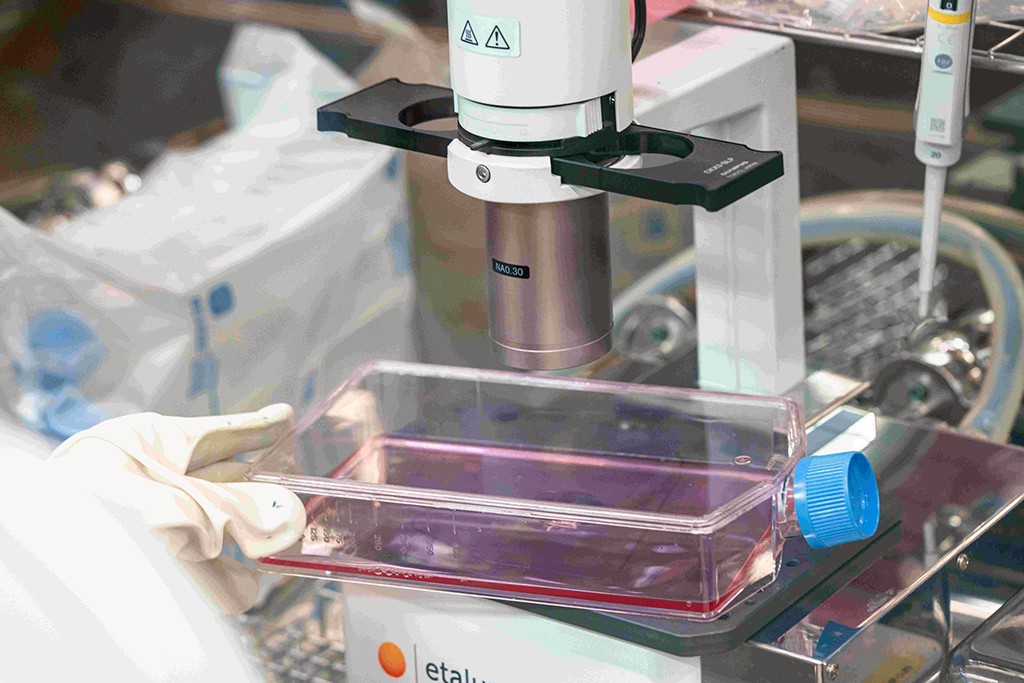 152a9290 11df 4fe1 9d89 749f488980a1 176585551421268099500043675