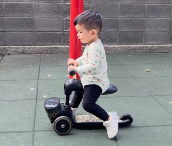 動物園在冬天不受高溫影響，適合安排長時間參觀，提升親子共同探索的體驗。圖/曾璟星