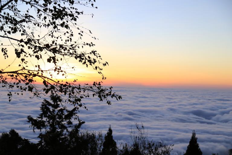 20251213004508 115b1955