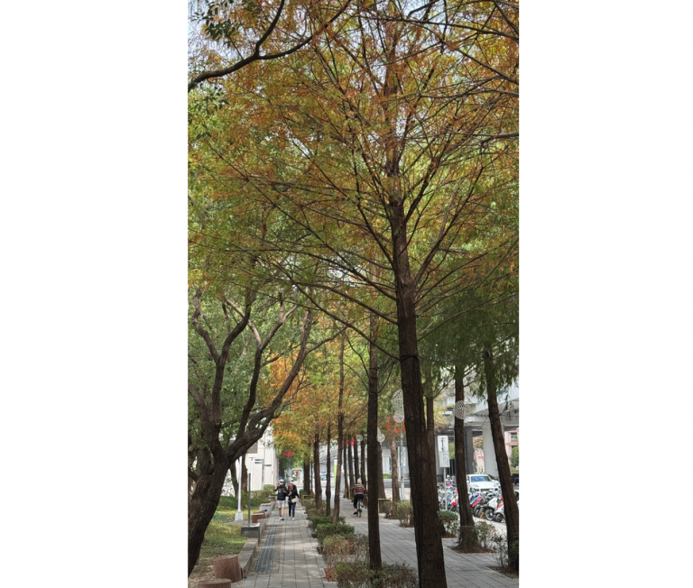 20251214224108 b719a3b1