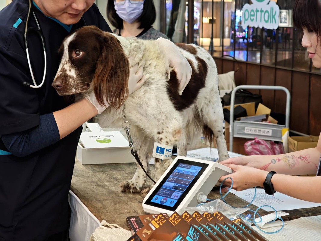 440ed94b 6705 46c1 86b1 47be41c6a8f1 176588367726244728500097616