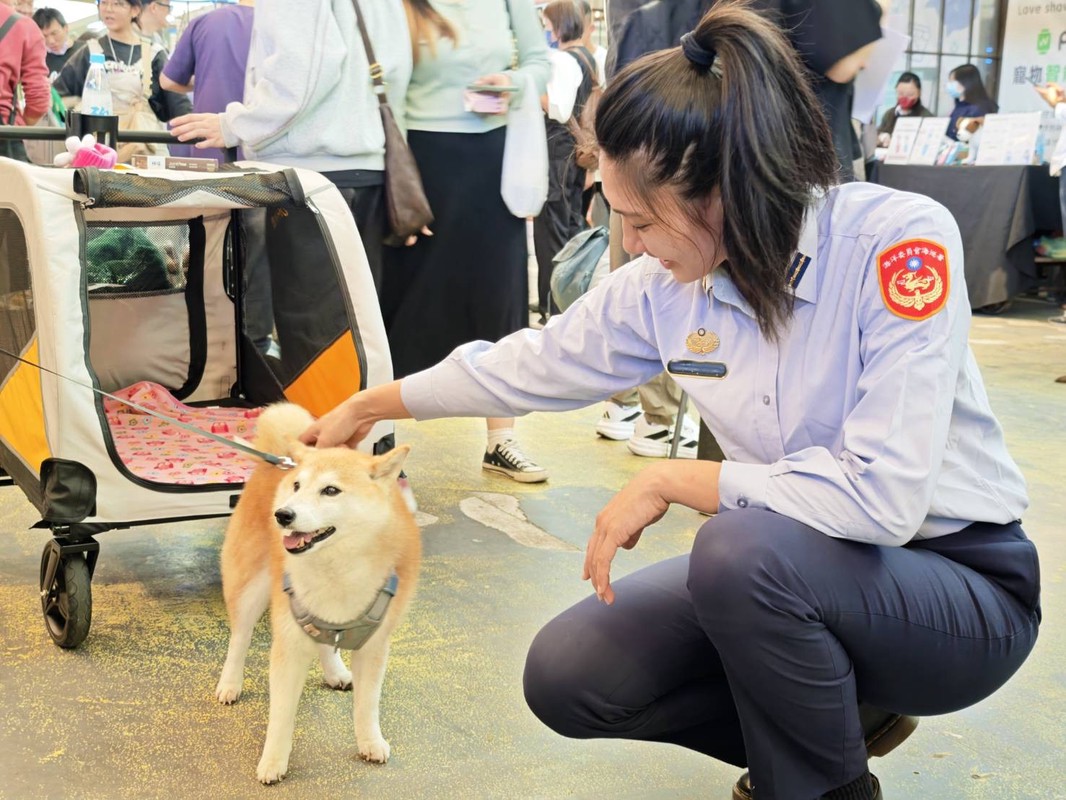 440ed94b 6705 46c1 86b1 47be41c6a8f1 176588372463884620302790681