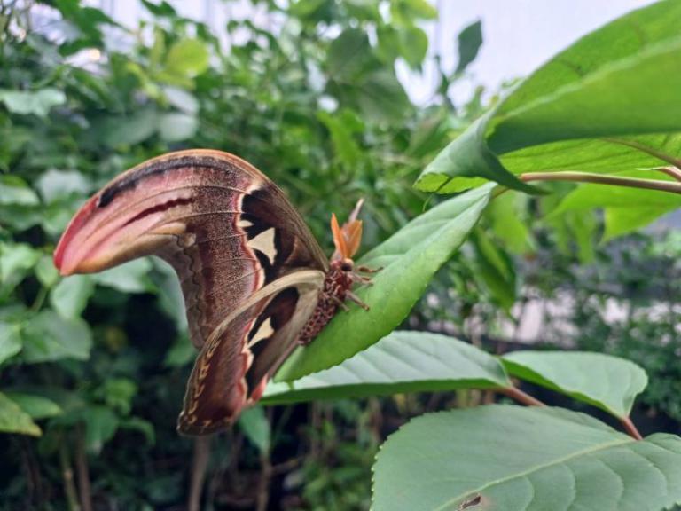 20251216200148 842884bf