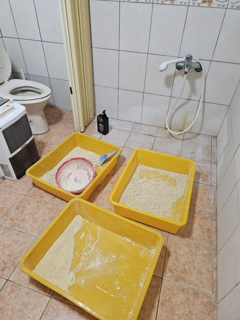 S 477437956 0 768x1024 1