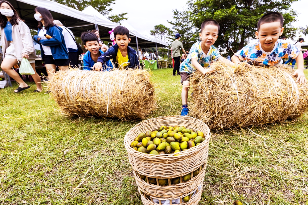 %E4%BA%BA%E6%96%871%E5%86%A0 B 114 6 0 Fotor