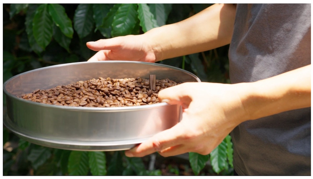 a5cff110 661d 4c04 9b18 597b9978a046 176603147375453029103241601