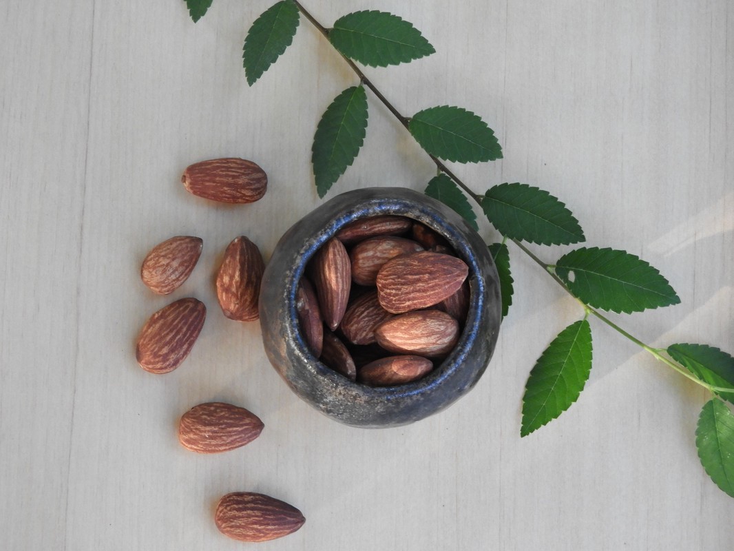 a5cff110 661d 4c04 9b18 597b9978a046 176603149245727076005194970