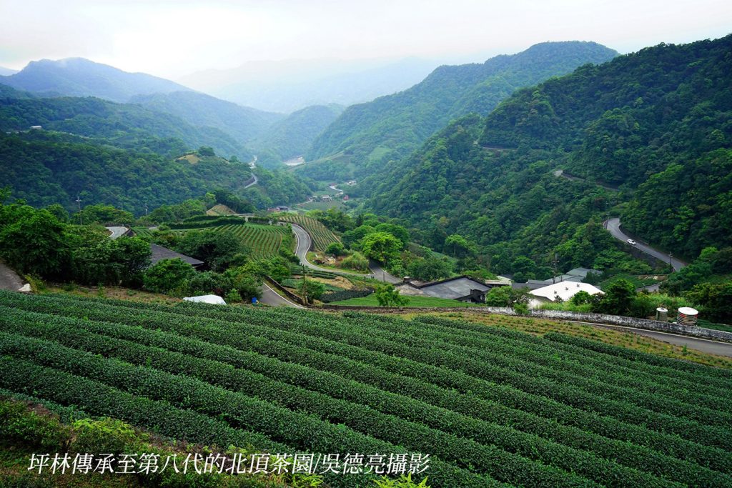 %E5%9D%AA%E6%9E%97%E5%82%B3%E6%89%BF%E8%87%B3%E7%AC%AC%E5%85%AB%E4%BB%A3%E7%9A%84%E5%8C%97%E9%A0%82%E8%8C%B6%E5%9C%92 1024x683 1