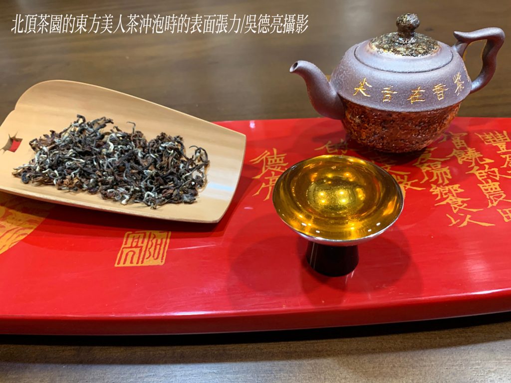 %E5%8C%97%E9%A0%82%E8%8C%B6%E5%9C%92%E7%9A%84%E6%9D%B1%E6%96%B9%E7%BE%8E%E4%BA%BA%E8%8C%B6%E6%B2%96%E6%B3%A1%E6%99%82%E7%9A%84%E8%A1%A8%E9%9D%A2%E5%BC%B5%E5%8A%9B 1024x768 1