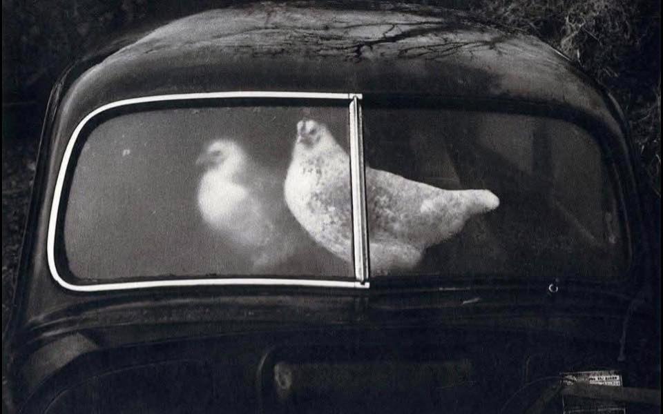 %E7%95%B6%E5%BD%B1%E5%83%8F%E4%B8%8D%E5%86%8D%E8%AE%93%E4%BA%BA%E4%B8%8D%E8%88%92%E6%9C%8D00002