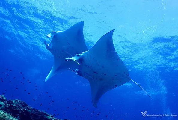 342e48e3 554a 4f0a 8dda e78a9b48e6a7 176637647984527805801866304