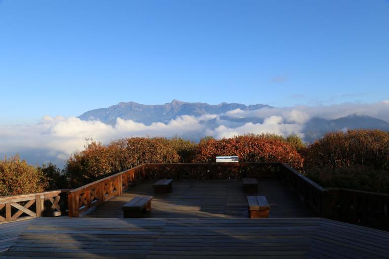 阿里山賓館新春限定「Win -Win森林密馬」福袋 櫻花主題房早鳥享優惠 5 20251226174450 c43cee38