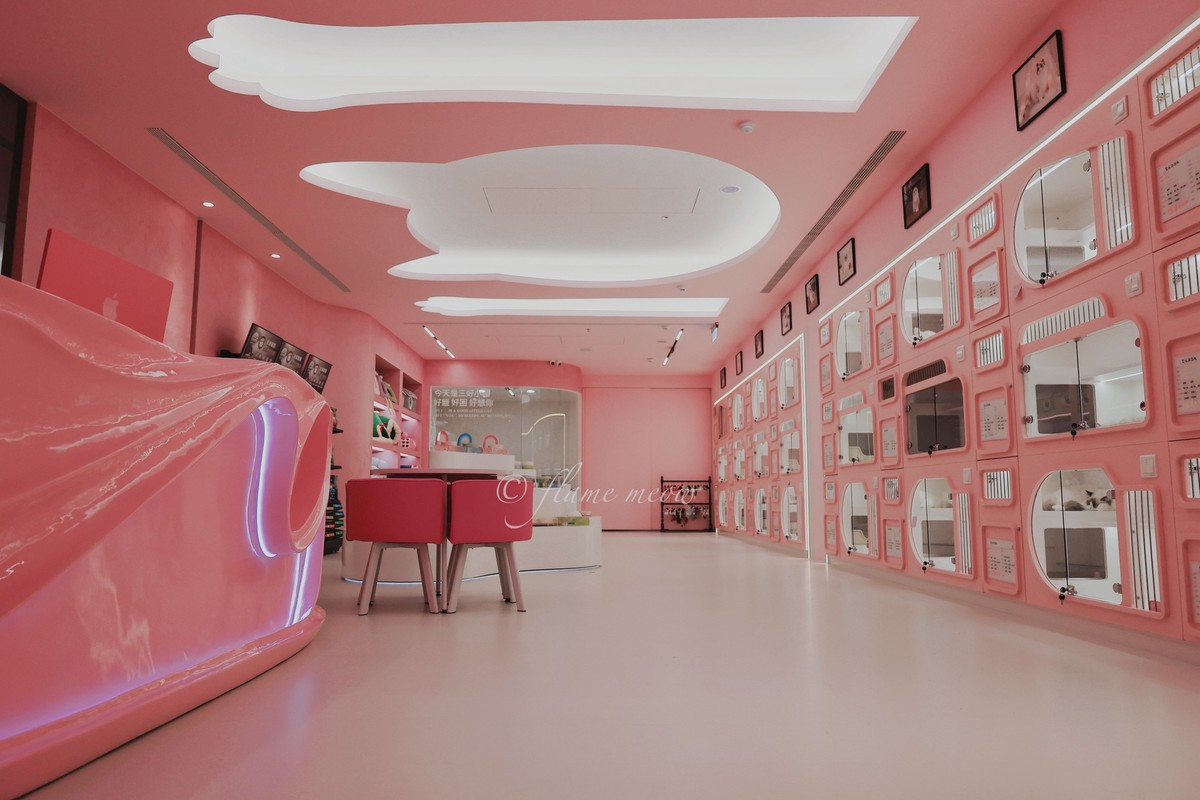 全台最大夢幻貓舍12/27開幕!台南「聖火貓貓教」打造700坪貓咪天堂 13 53aed3d9 cd8e 4436 b493 26b41b032bc3