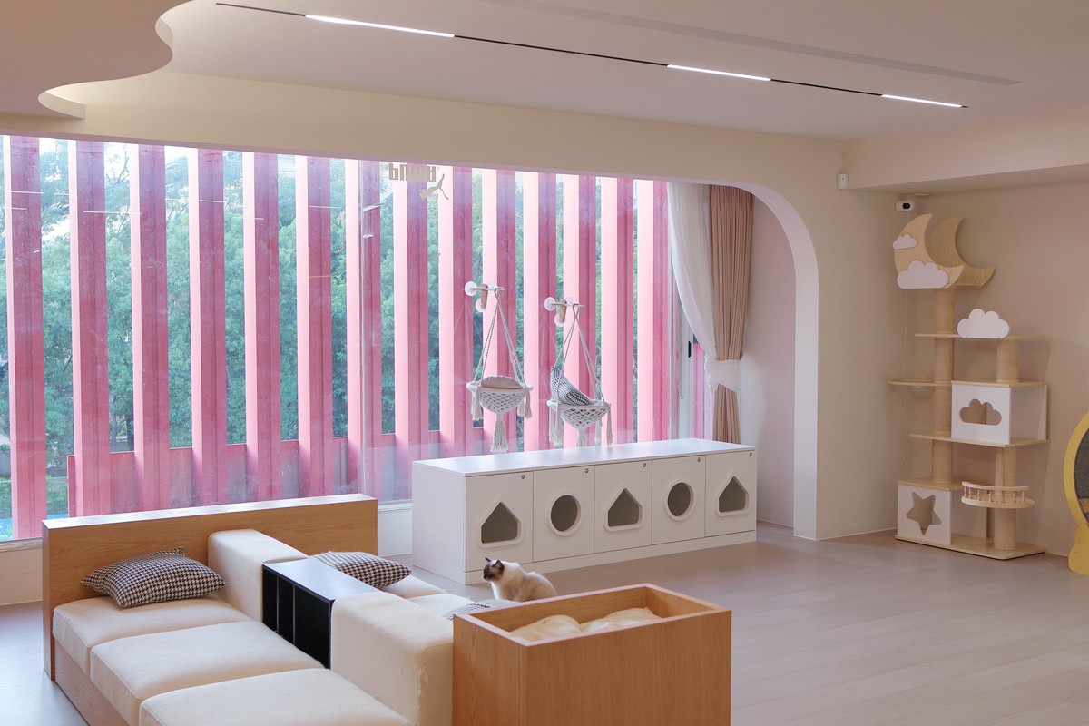 全台最大夢幻貓舍12/27開幕!台南「聖火貓貓教」打造700坪貓咪天堂 14 53aed3d9 cd8e 4436 b493 26b41b032bc3 176682472452351551902792139