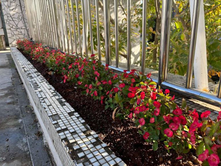 20251227181725 f91f2bf6