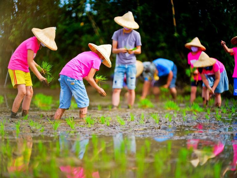 20251229214541 b53f87b9