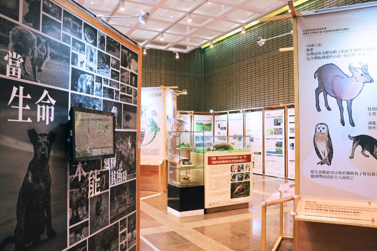 認養也能救野生動物! 科博館攜手挺挺網絡推出《適得其所》巡迴展 4 20251229232334 86260c8a
