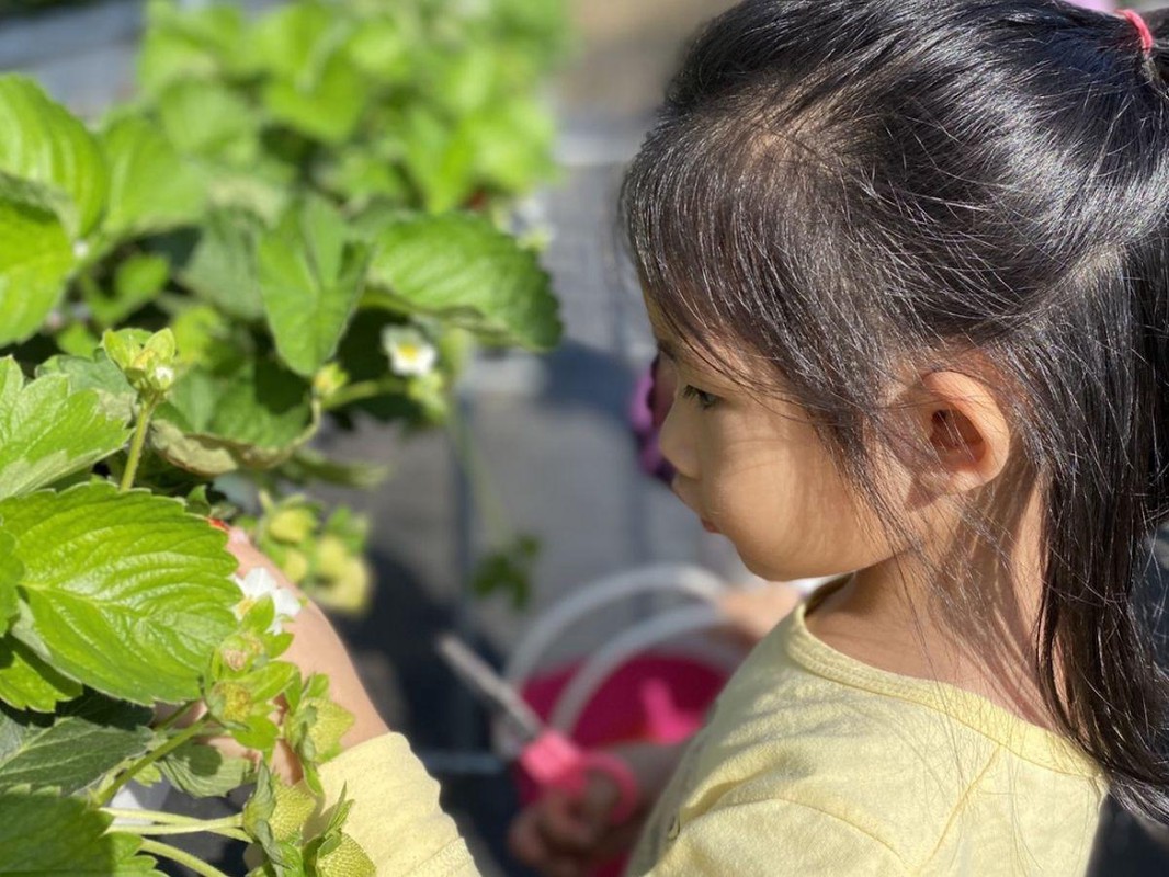 a8e3d6c1 1e38 49de ac29 6d27e35d7d78 176705988507238065204103313