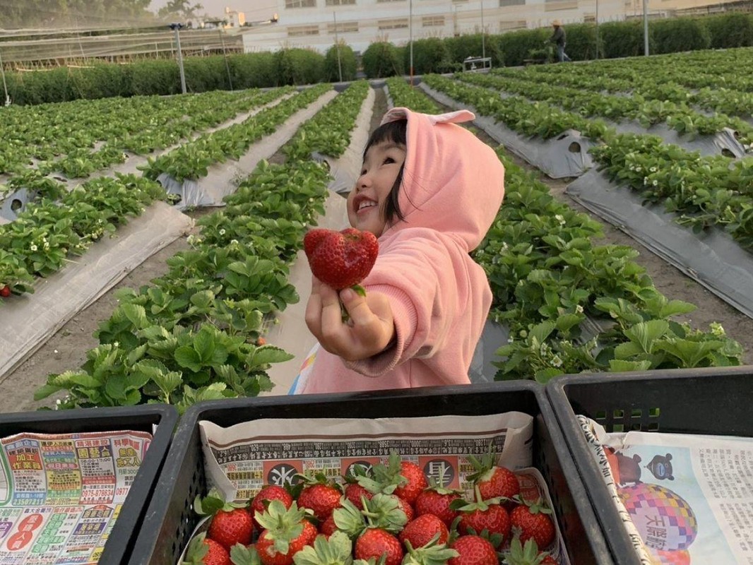 a8e3d6c1 1e38 49de ac29 6d27e35d7d78 176705990777004971708065101