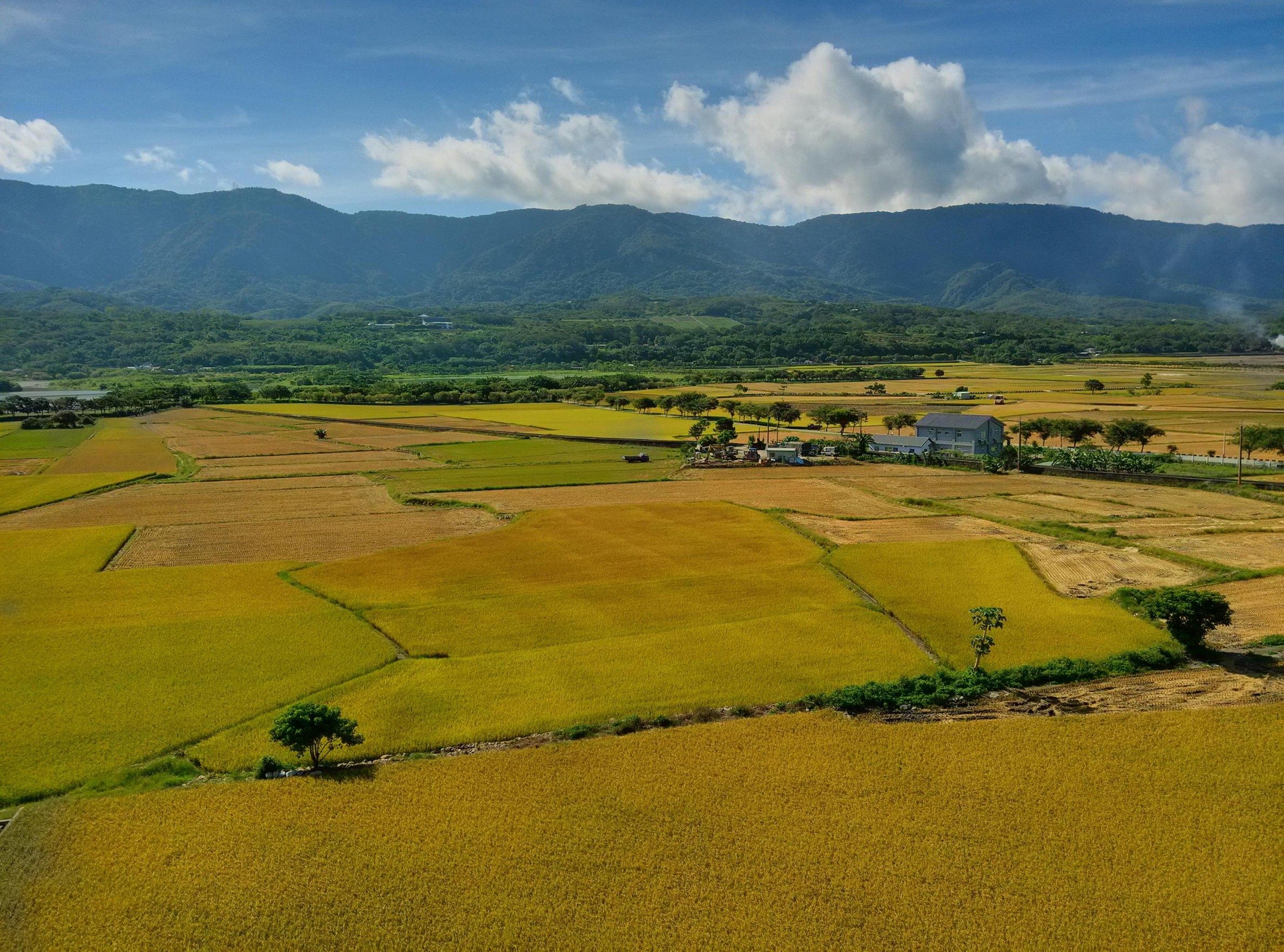 line oa chat 240907 130459