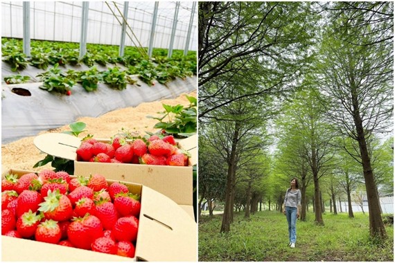 0b3595af a587 461c aef9 82b2ac45f943 176714975345298496607827958