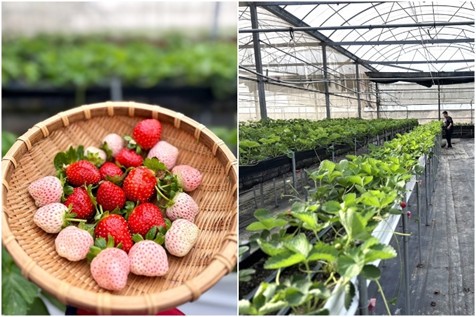 0b3595af a587 461c aef9 82b2ac45f943 176714976487036115709829271