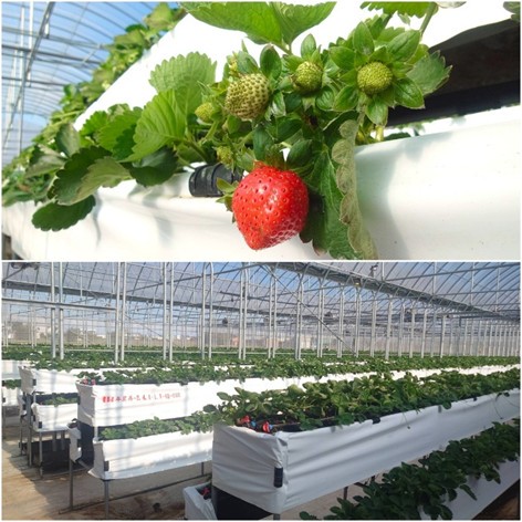 0b3595af a587 461c aef9 82b2ac45f943 176714978746921777808049330