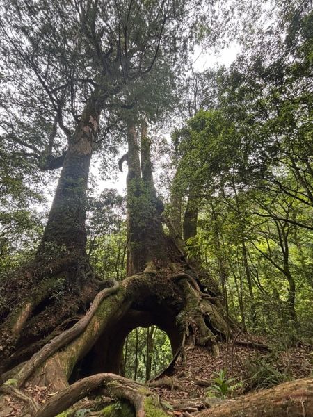 20260101143428 f7316daf